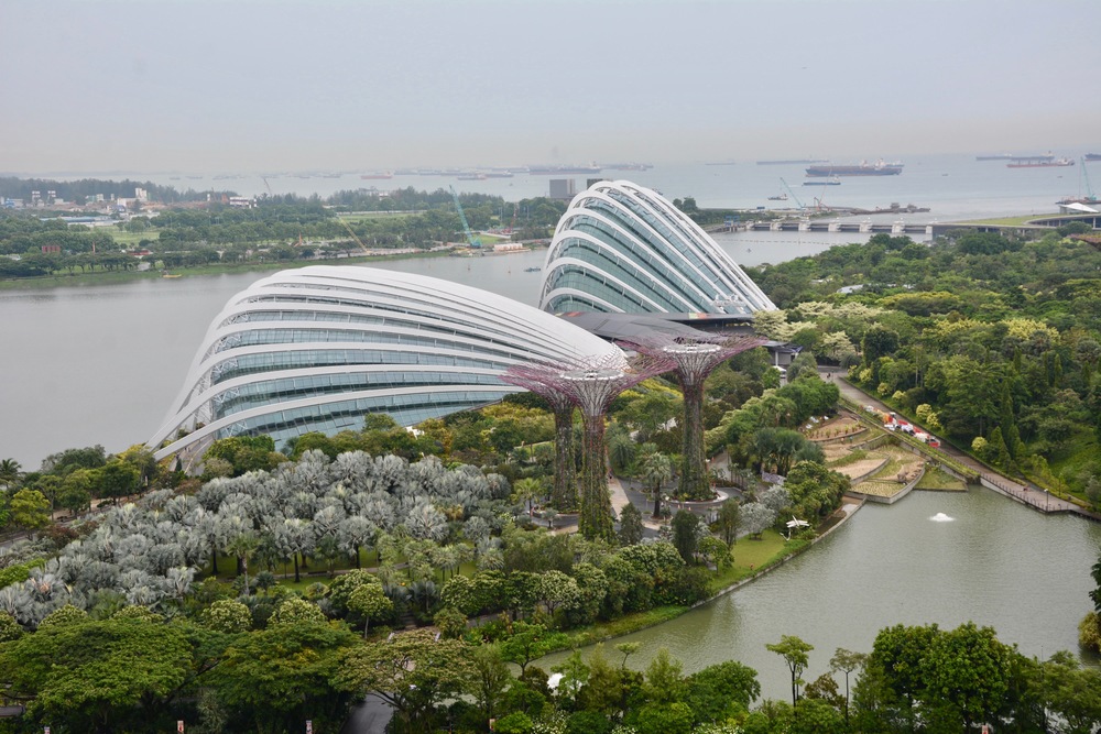 Overlooking the Gardens by the Bay