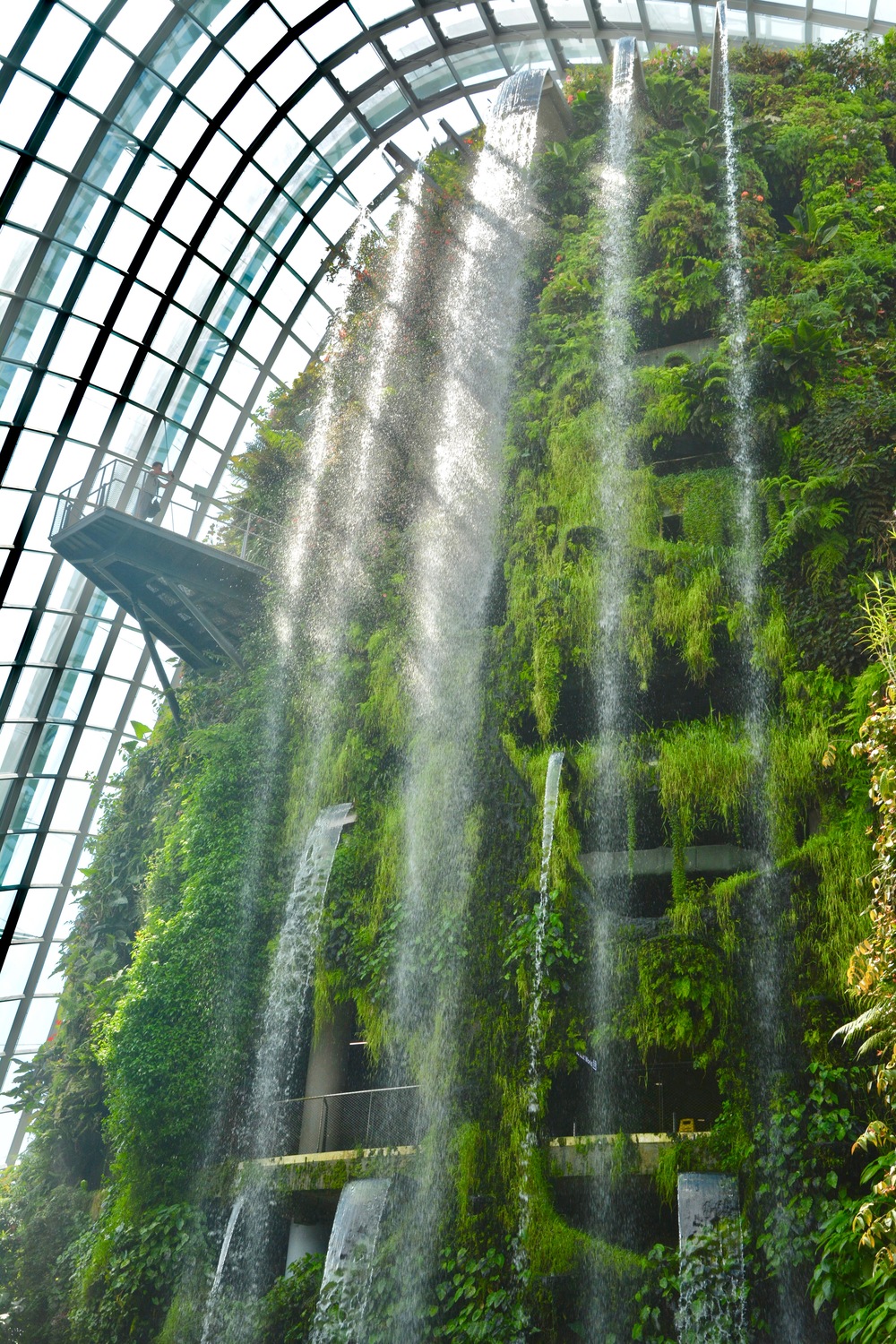 Waterfalls of the Cloud Forest in Gardens by the bay