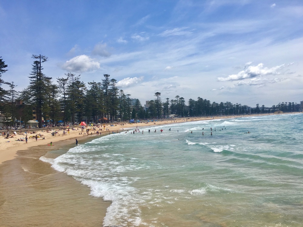 Manly Beach on a beautiful day