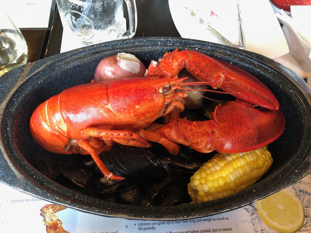 A lobster, potato and corn in a pot